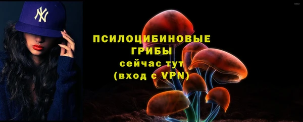 эйфоретик Мегион